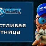 Счастливая пятница в 1xbet
