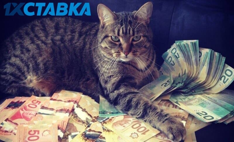 1хставка бонус