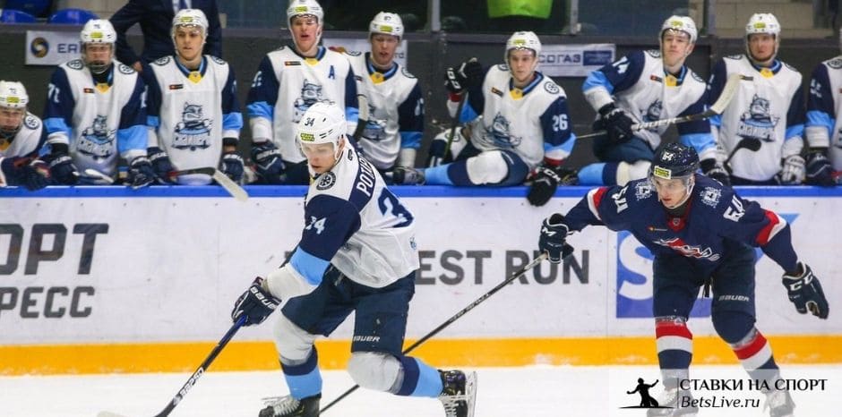 Чайка — Сибирские Снайперы прогноз на 16 ноября