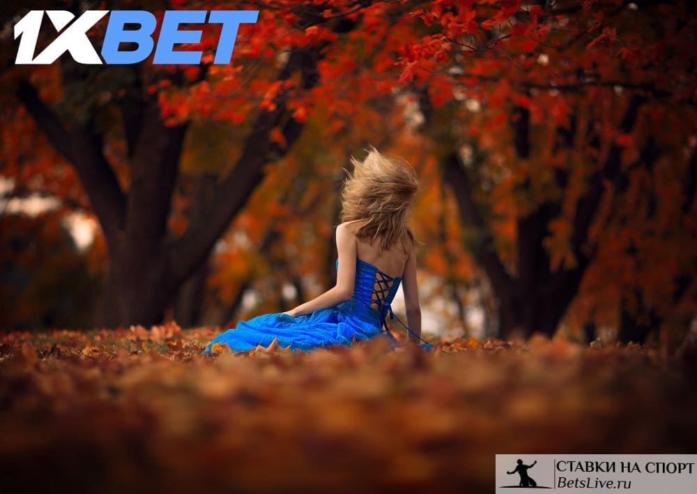 Сладкий ноябрь акция от 1xbet
