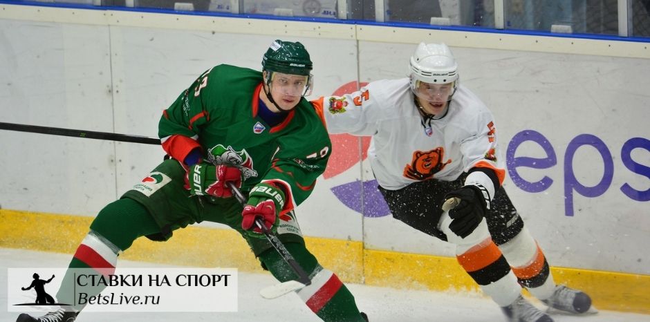 Барс — Молот прогноз на 20 декабря
