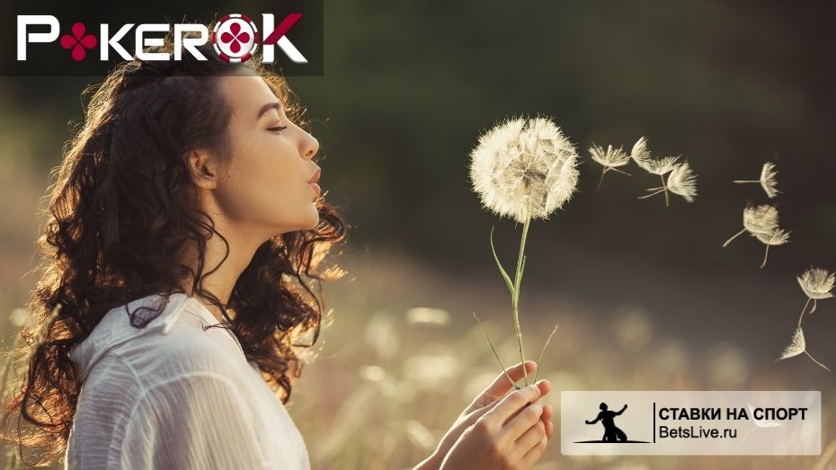 Pokerok поддержка