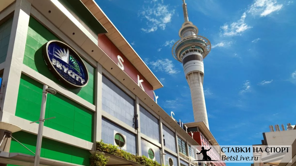Деятельность SkyCity
