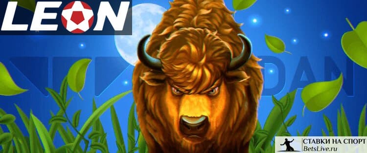 Сокровища бизона на БК Leon