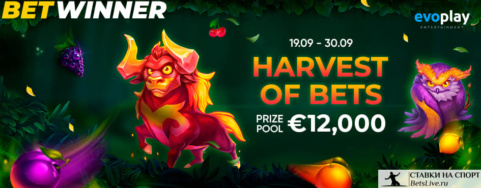 Вихрь ставок на Betwinner