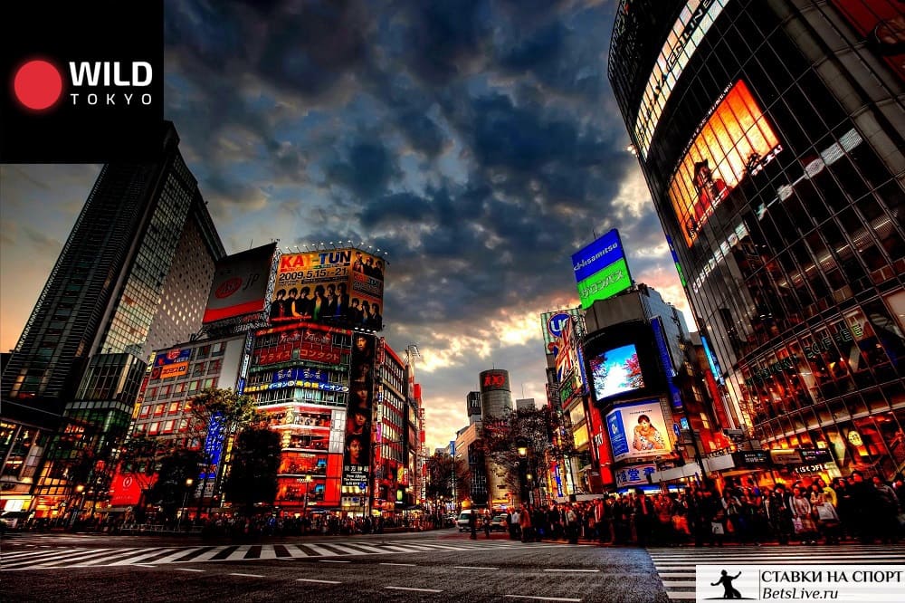 Еженедельный кэшбэк на Wild Tokyo