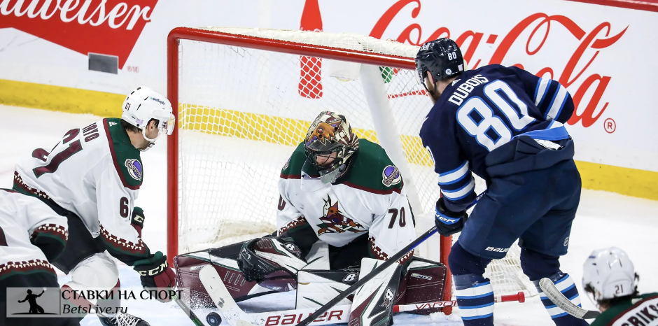 Виннипег — Аризона прогноз 16 января