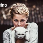Hype casino программа лояльности