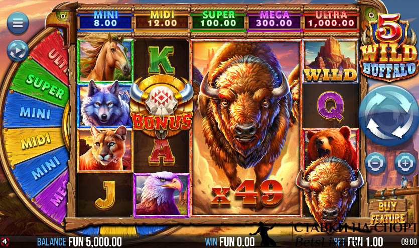 5 Wild Buffalo