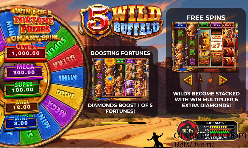 5 Wild Buffalo