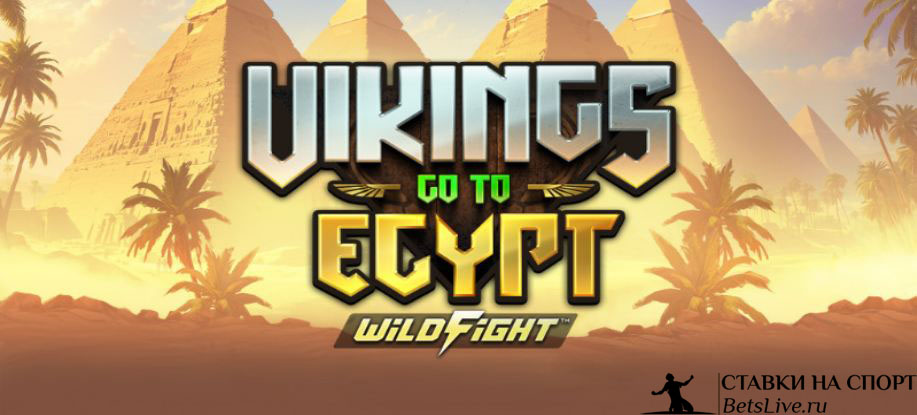 Vikings Go to Egypt Wild Fight