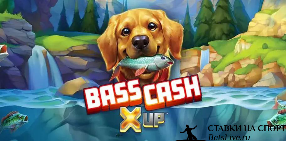 Bass Cash X Up