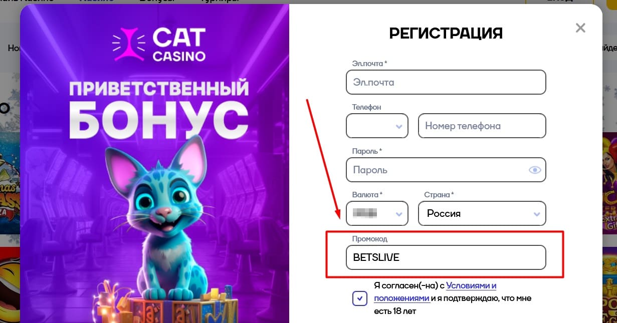 Cat casino обзор