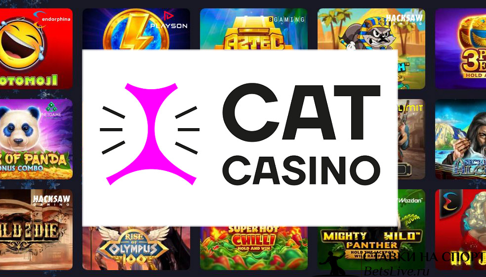Cat Casino служба поддержки