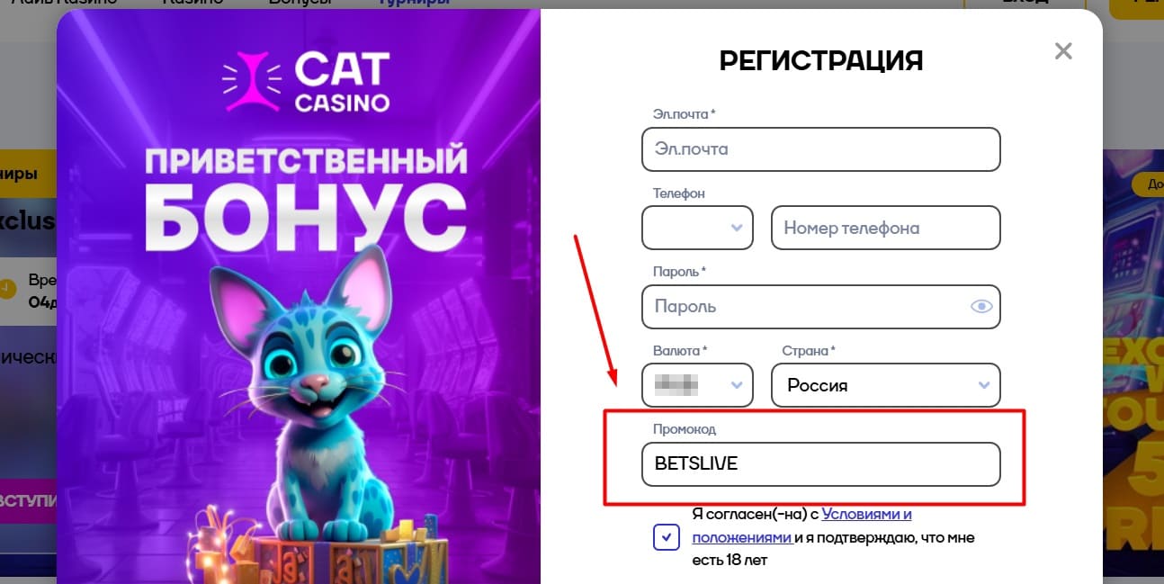 Cat casino турниры