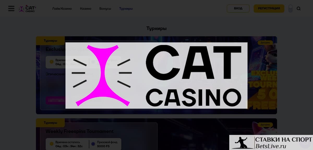 Cat casino турниры