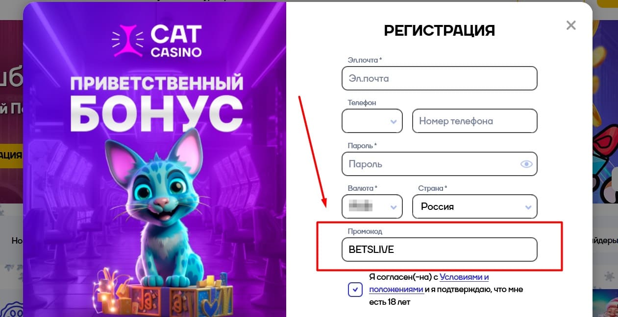Cat casino вывод средств