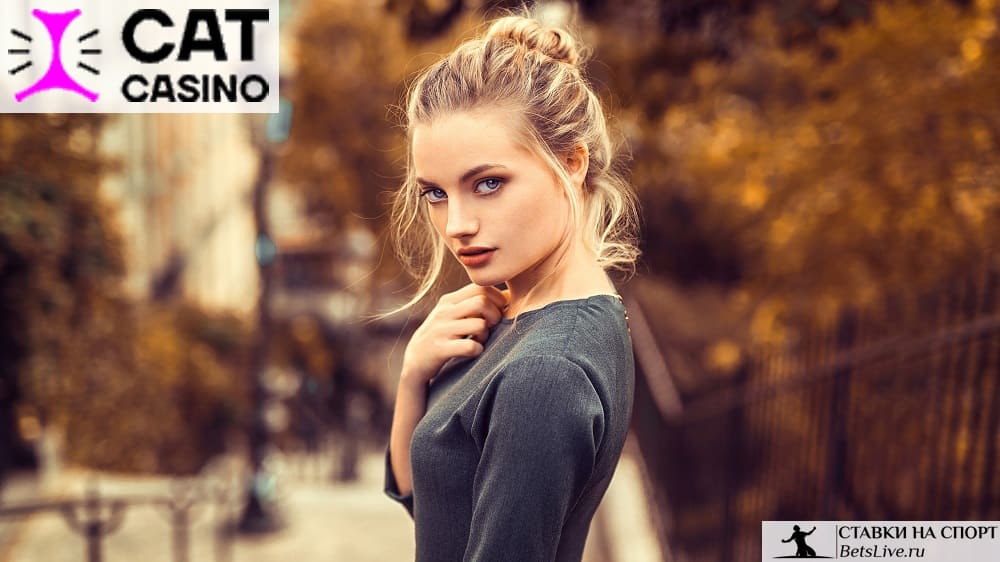 Cat casino вывод средств