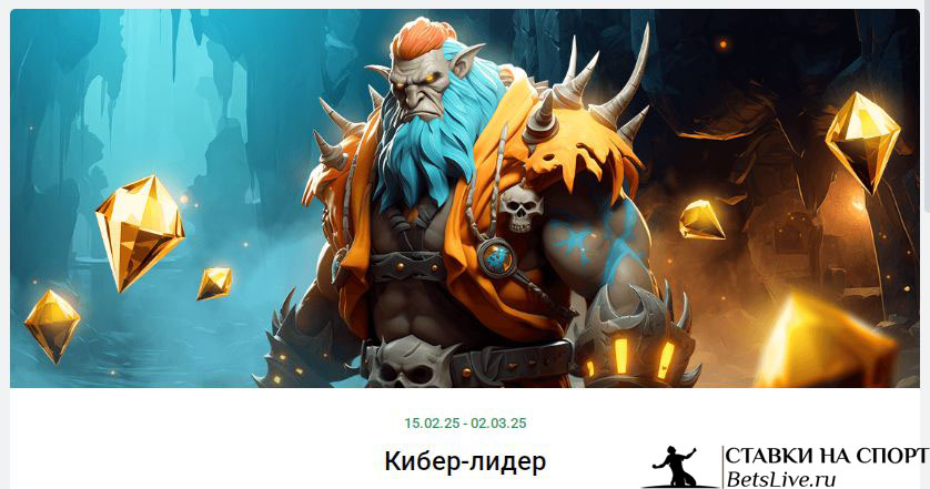 БК Леон Кибер Лидер