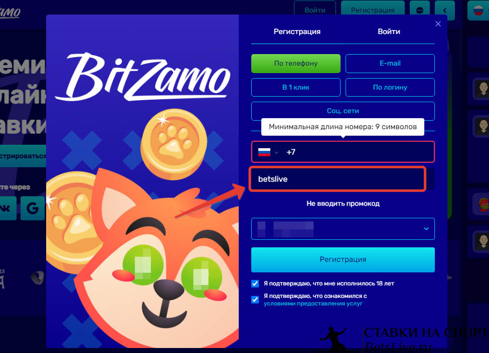 Bitzamo промокод