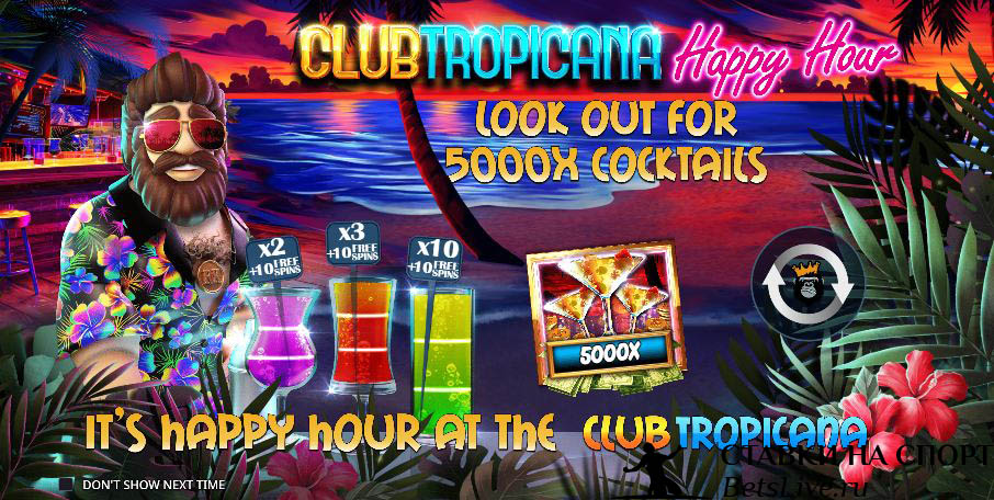Обзор на Club Tropicana – Happy Hour