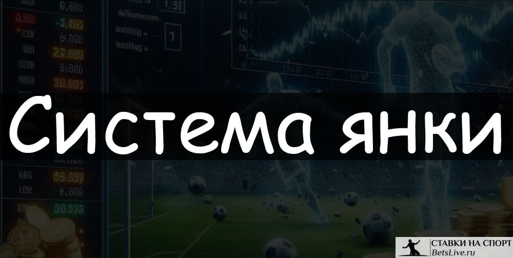Система янки