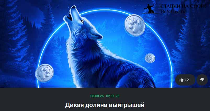 Leon Дикая долина выигрышей