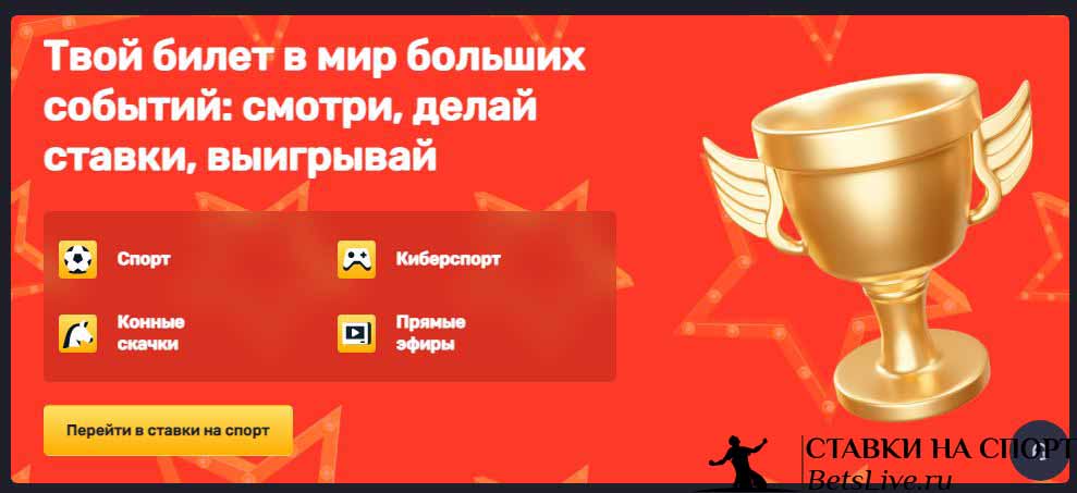 Blitz casino спорт