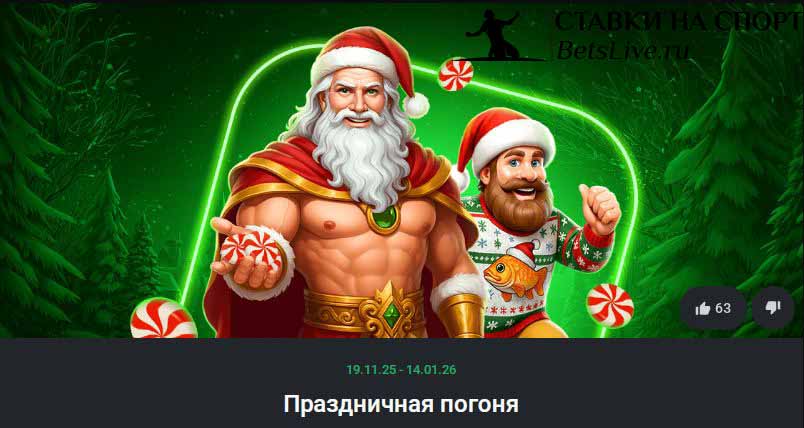 Leon Праздничная погоня