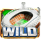 Football 2026 играть вайлд