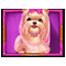 The Dog House Megaways 1000 играть 2