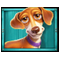 The Dog House Megaways 1000 играть 4