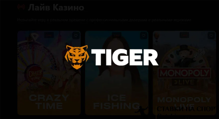 Tiger Casino отзывы