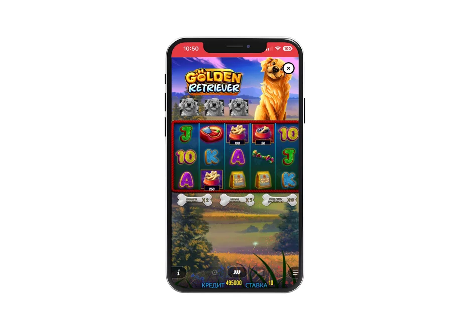 Выводы по игре Golden Retriever